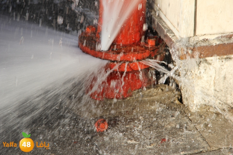 naforea jsadsah (2).JPG